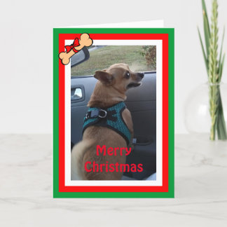 Valfritt Hund - jul/Helgdag-kort Helgkort