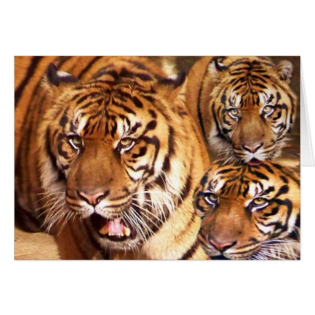 Valfritt Tillfälle _-kort Hälsningskort (Framsidan Horizontal)