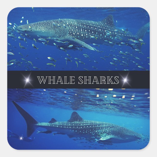 Valgapor Fyrkantigt Klistermärke (Framsida)