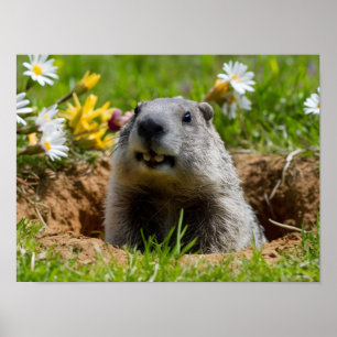 Välgörlig leende jord som växer fram poster