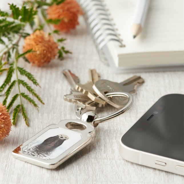 Välgörligt leende Otter i Sjö Rektangulärt Silverfärgad Nyckelring (Sidan)