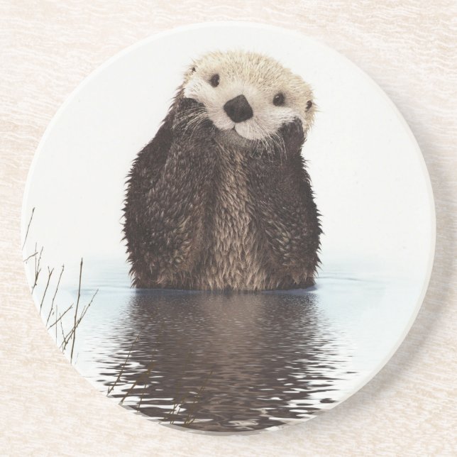 Välgörligt leende Otter i Sjö Underlägg (Framsidan)