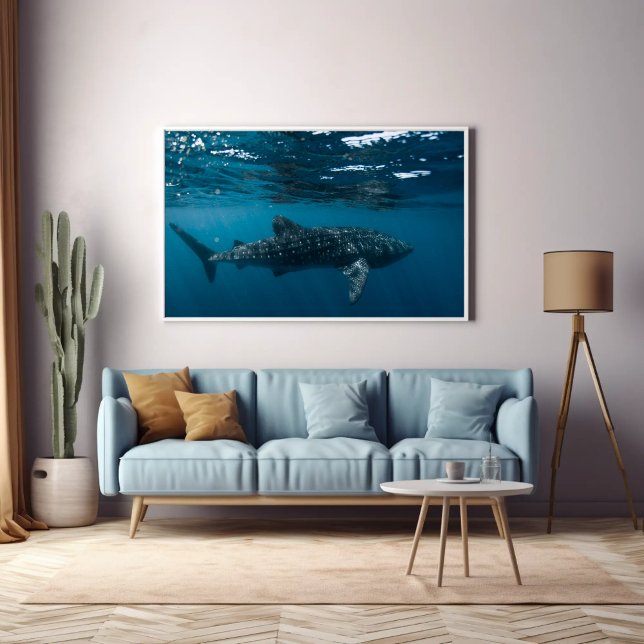 Vålhaj, naturfotografi Undersea World Poster (Skapare uppladdad)