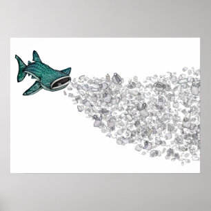 Valhaj och plast- förorening poster