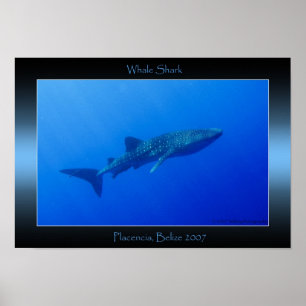 Valhaj Poster