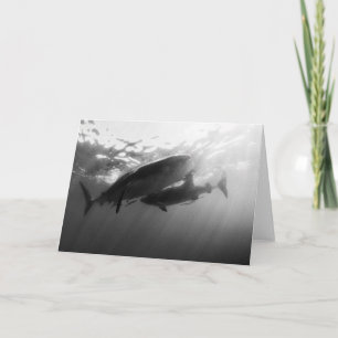 Valhajar Notecard Kort