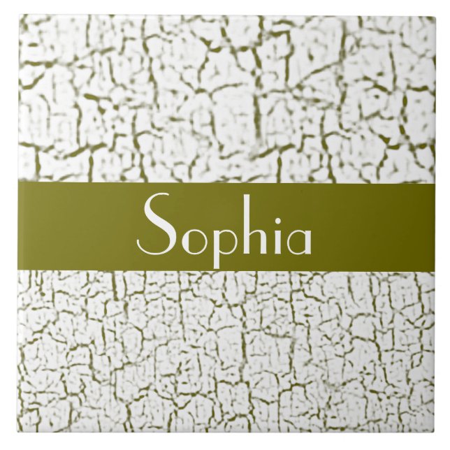 Välj din färg knastrar målar anpassade kakelplatta (Framsidan)