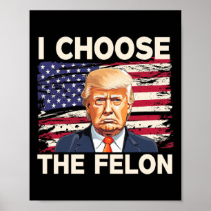 Välj felon Funny Pro Trump 2024 American Fla Poster
