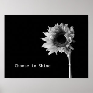 "Välj mellan Shine" Solros Black & White Porträtt Poster