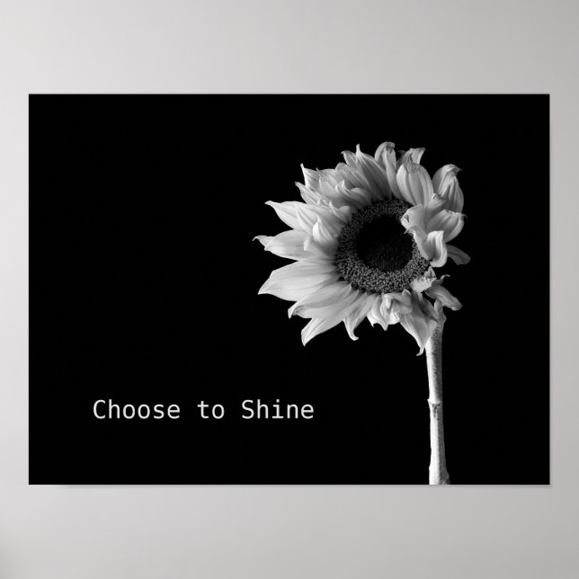 "Välj mellan Shine" Solros Black & White Porträtt Poster (Framsidan)