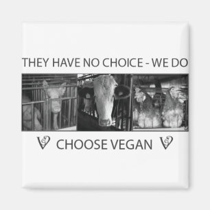 Välj Vegan Magnet