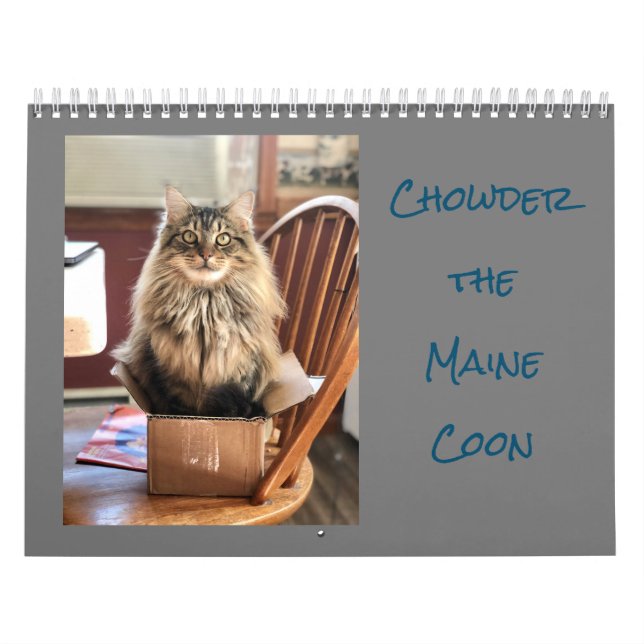 Välja kalendern för Maine Coon Kalender (Omslag)