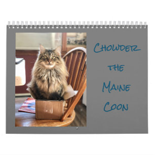Välja kalendern för Maine Coon Kalender