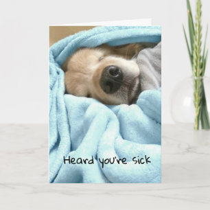 Väljare Golden Retriever i Blanket Blanket Kort