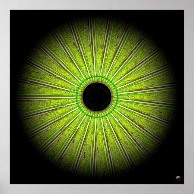 Välkänd växt poster (Framsidan)