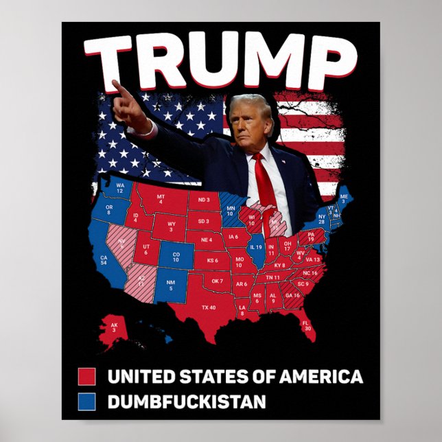 Valkartan 2024 Amerikas Förenta Stater Dumbist Poster (Framsidan)