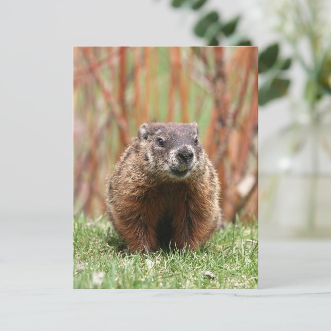 Välkomlig jordskö i naturen vykort (Skapare uppladdad)