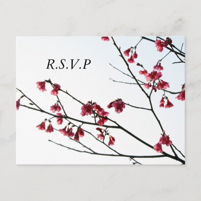 Välkomlig OSA av Vår/Oriental Zen Flora Inbjudan Vykort (Framsida)