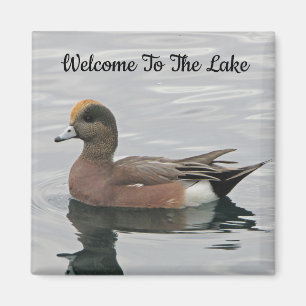 Välkommen Anka Photo Wigeon Lugn Vatten Sjö House Magnet