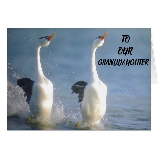 VÄLKOMMEN AV DIG **GRANDDAUGHTER** ÖNSKEMÅL FÖR FR HÄLSNINGSKORT (Framsidan Horizontal)