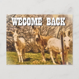 VÄLKOMMEN BACK-vykort Vykort