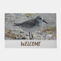 Välkommen Beach House Kusten Animal Photo Shore Bi