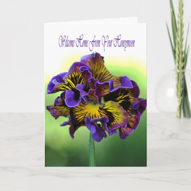 Välkommen hem från Honeymoon Kort (Framsida)