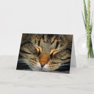 Välkommen hem. Hemma igen, katt kattunge. Kort