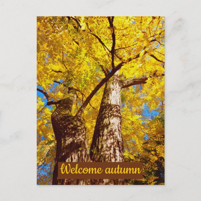 välkommen höst vykort (Framsida)