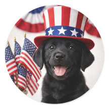 Välkommen Ny Amerikansk Medborgare Patriotisk Rund