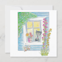 Välkommen - Nytt hem, ny katt - spelar ingen roll