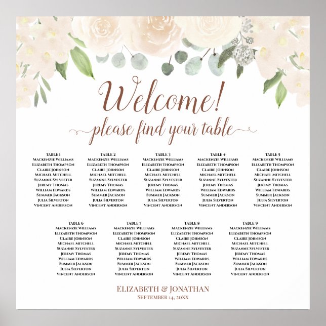 Välkommen!  passagerardiagram Ro 9 Bord Poster (Framsidan)