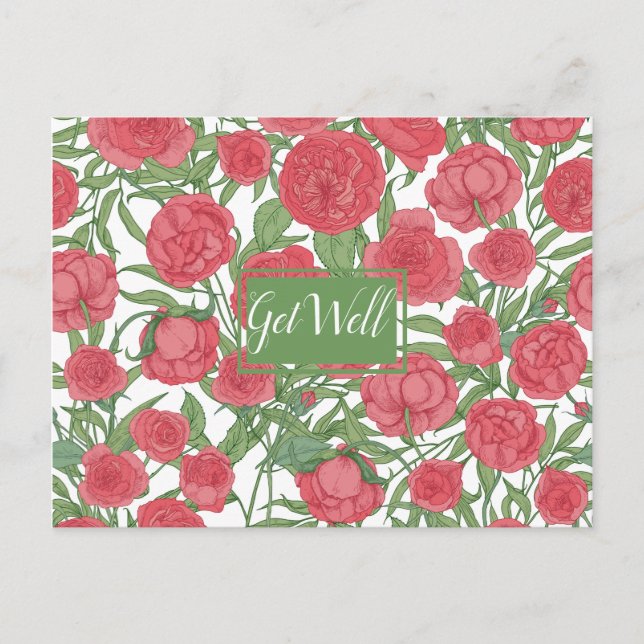 Välkommen Postkort med Rosa Ros Vykort (Framsida)