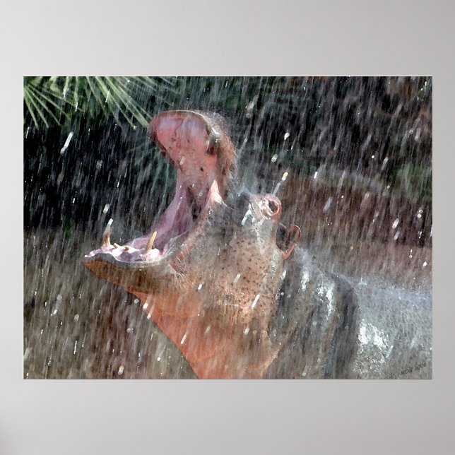 Välkommen Shower Hippopotamus Porträtt Poster (Framsidan)