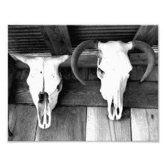 Välkommen till Arkansas Fototryck