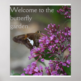 Välkommen till Butterfly Garden Poster—Skipper Poster