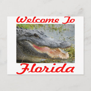 Välkommen Till Florida Gator Vykort