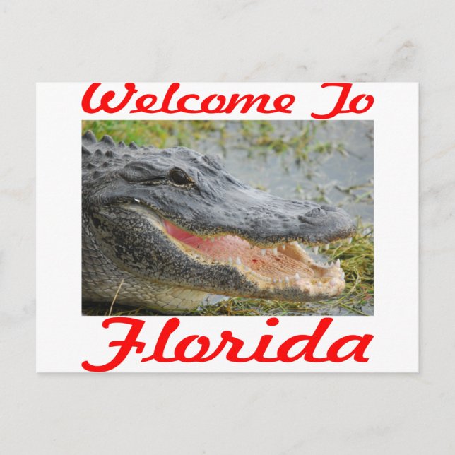 Välkommen Till Florida Gator Vykort (Framsida)