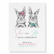 Välkommen till Genderna rosa Blue Bunnies