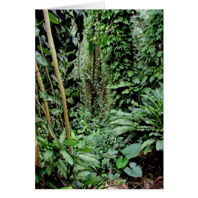 Välkommen till Jungle Hälsningskort (Framsidan)