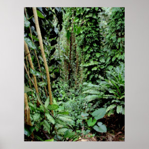 Välkommen till Jungle Poster