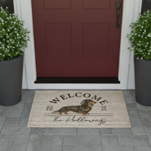 Välkommen till Långhårig Dachshund Anpassningsbar 