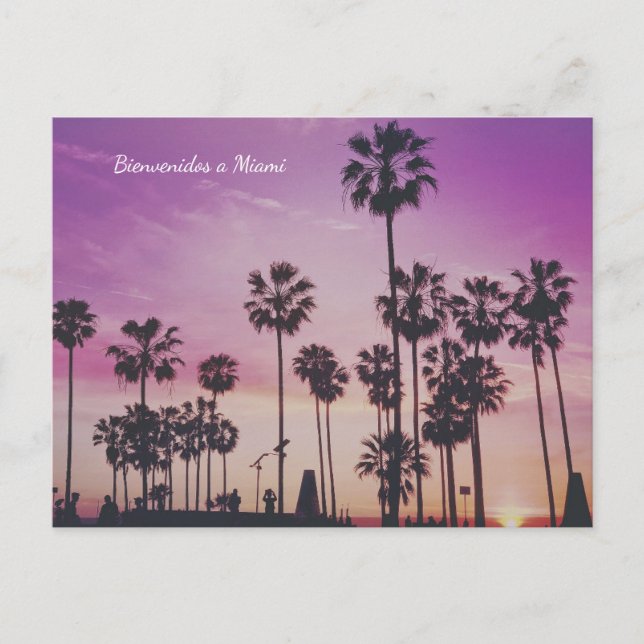 Välkommen till Miami Palmträd Postkort Vykort (Framsida)