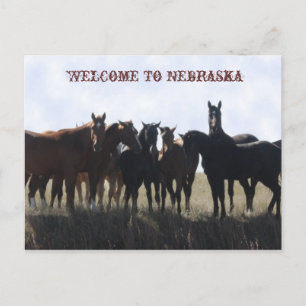 Välkommen till Nebraskas vykort