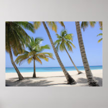 Välkommen till Paradise