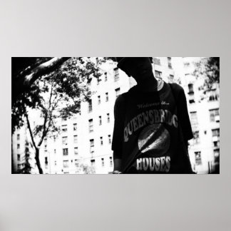 Välkommen till Queensbridge Houses II av Avi Avnai Poster