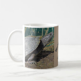 Välkommen till Sjö Turtle Coworking i Pension Lugn Kaffemugg