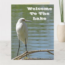 Välkommen till Sjö White Egret Photo Lakeside Gues
