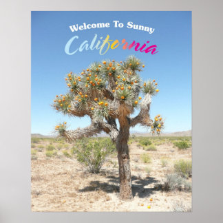 Välkommen till Sunny California Poster