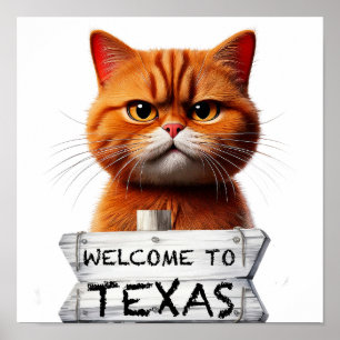 Välkommen till Texas Poster
